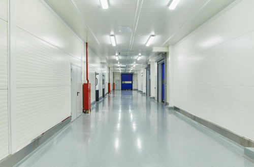 Завод пищевых ингредиентов Kerry